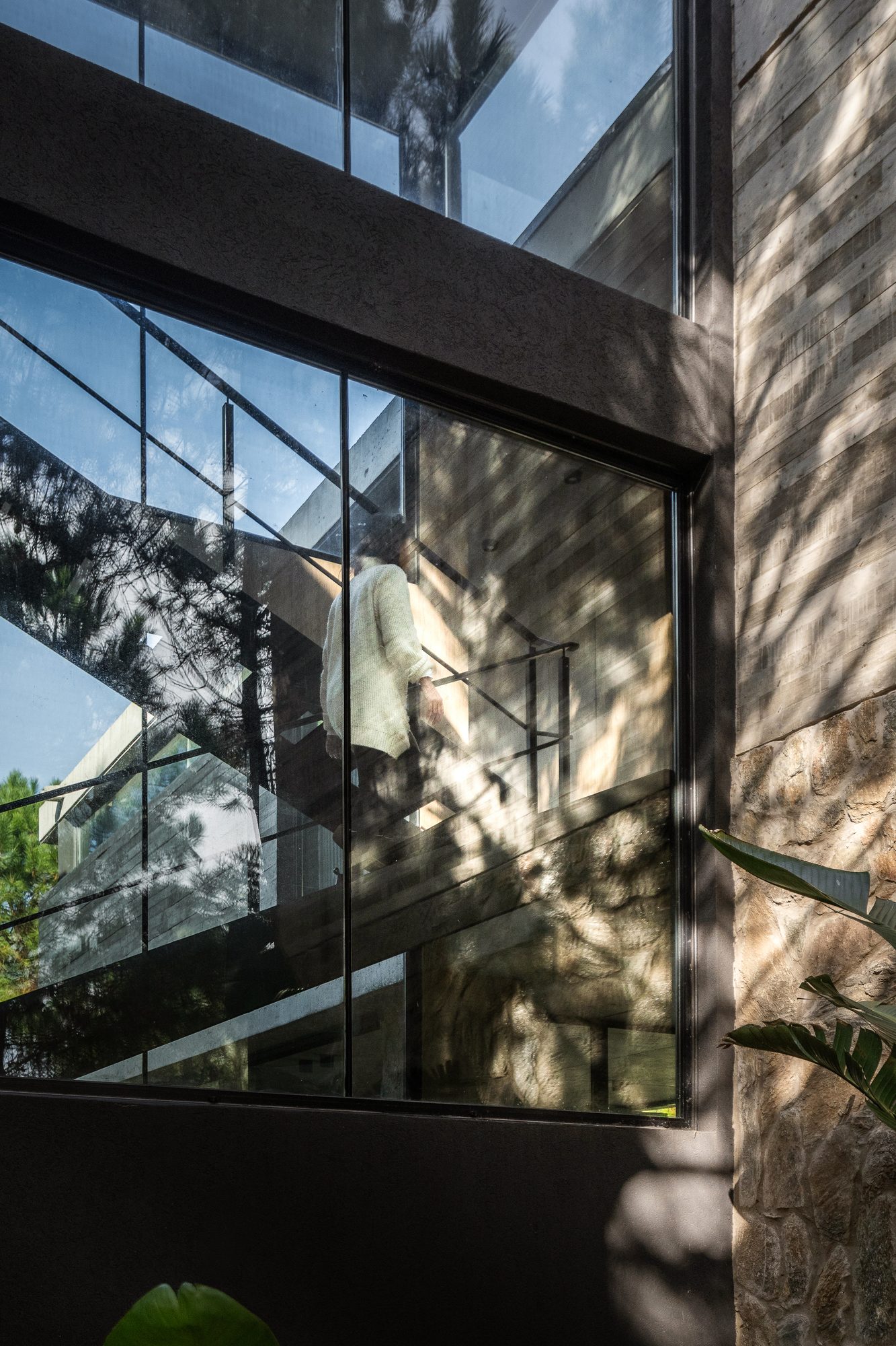Fachada vidriada con el reflejo del pinar sobre el muro de hormigón — CORNER Arquitectura
