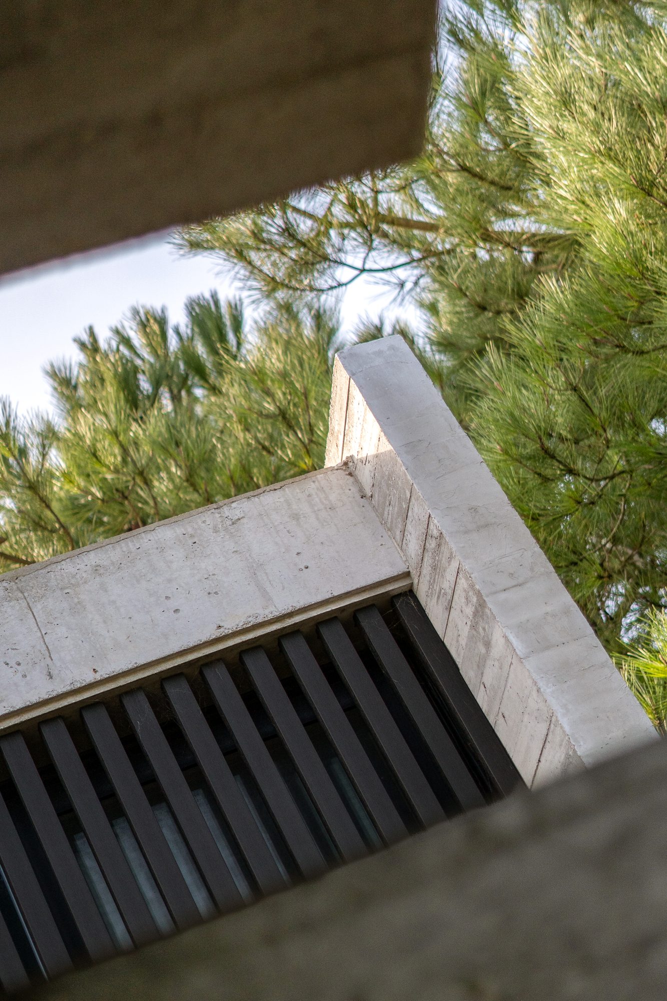 Alero de hormigón y parasol de madera vistos desde el exterior, entre pinos — CORNER Arquitectura