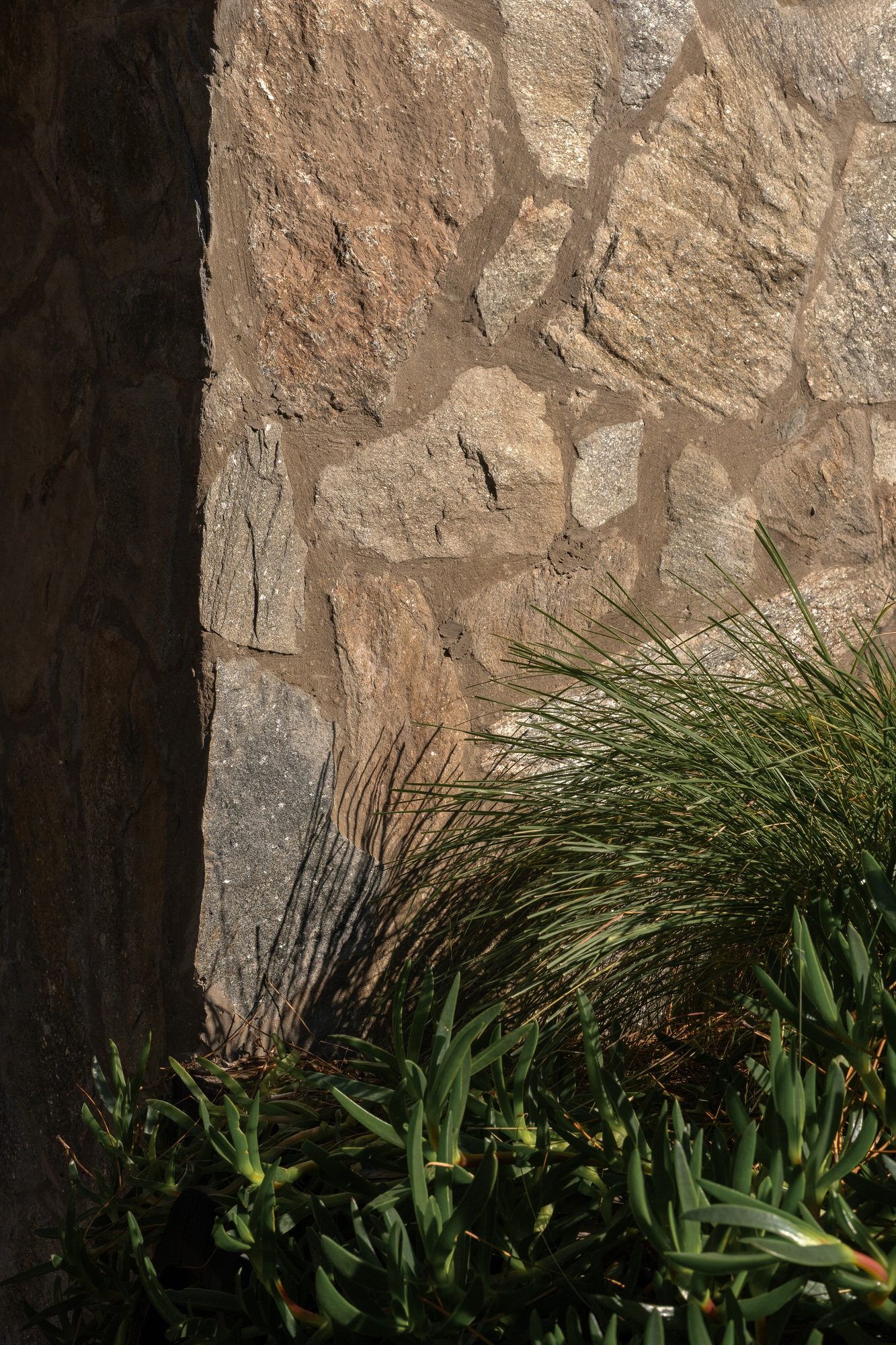 Muro de piedra natural con vegetación nativa al pie — CORNER Arquitectura