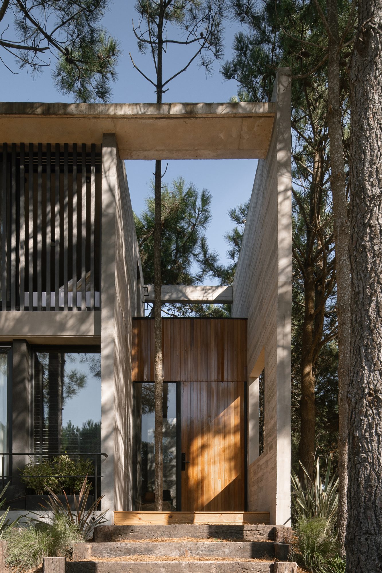 Fachada de hormigón con parasol de listones y acceso de madera, entre pinos — CORNER Arquitectura