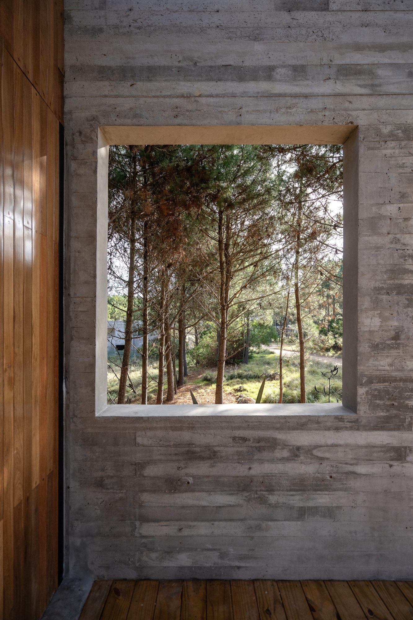 Ventana enmarcada en muro de hormigón con vista al bosque y piso de madera — CORNER Arquitectura
