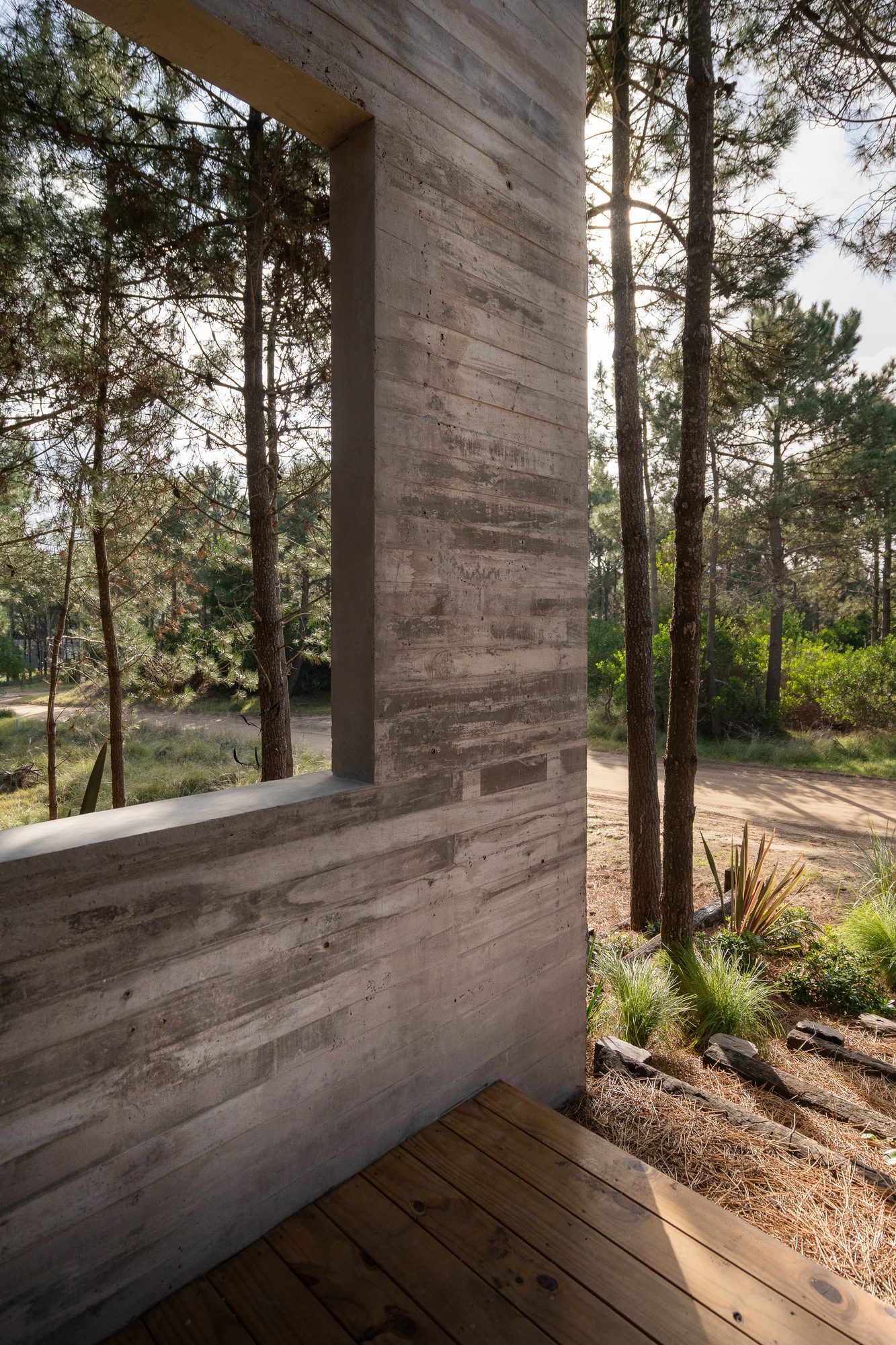 Terraza de madera con muro de hormigón y vista al pinar — CORNER Arquitectura