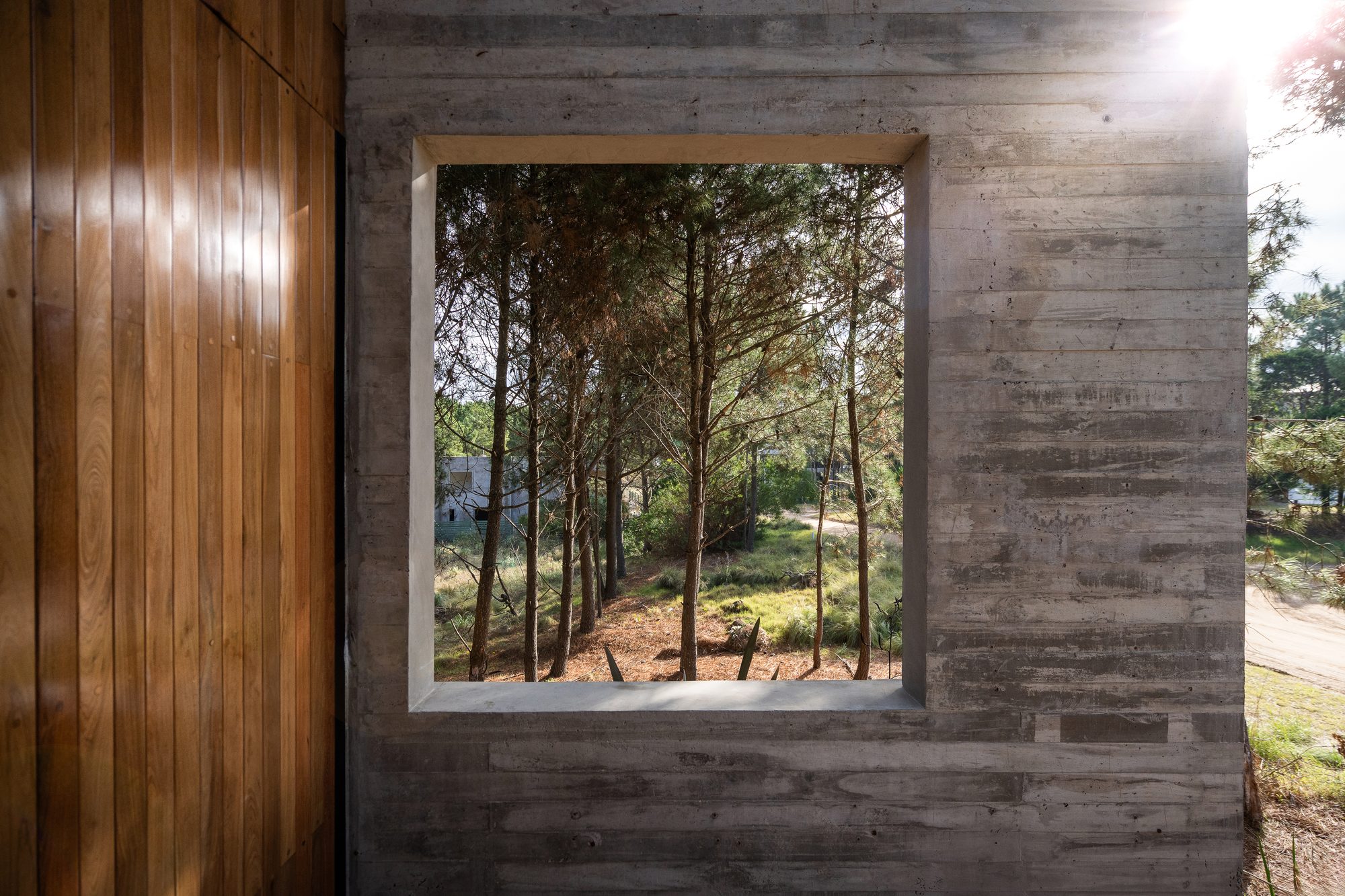 Muro de hormigón con vano cuadrado al bosque, junto a una puerta de madera — CORNER Arquitectura