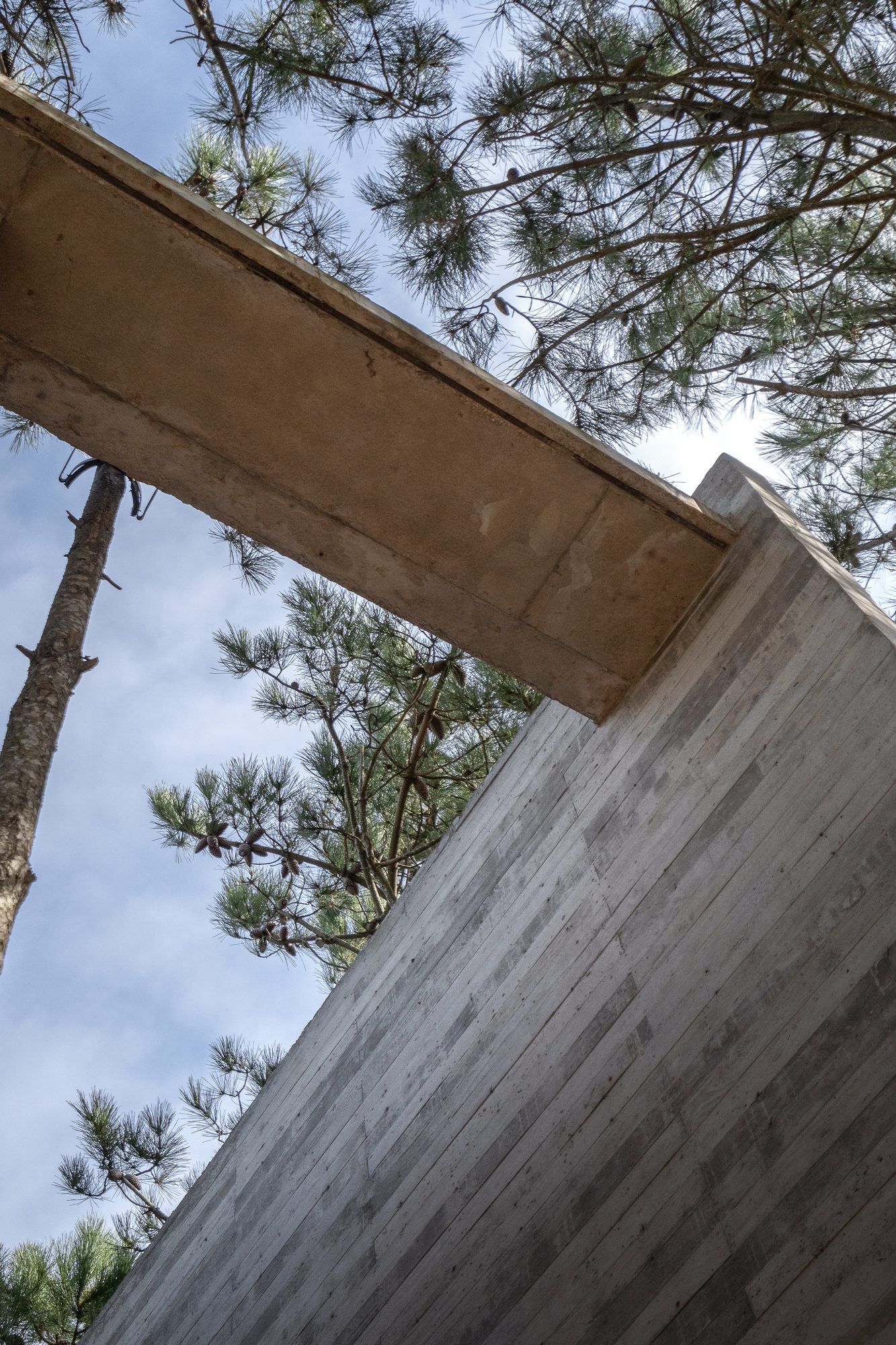 Contrapicado del alero de hormigón contra el cielo y los pinos — CORNER Arquitectura