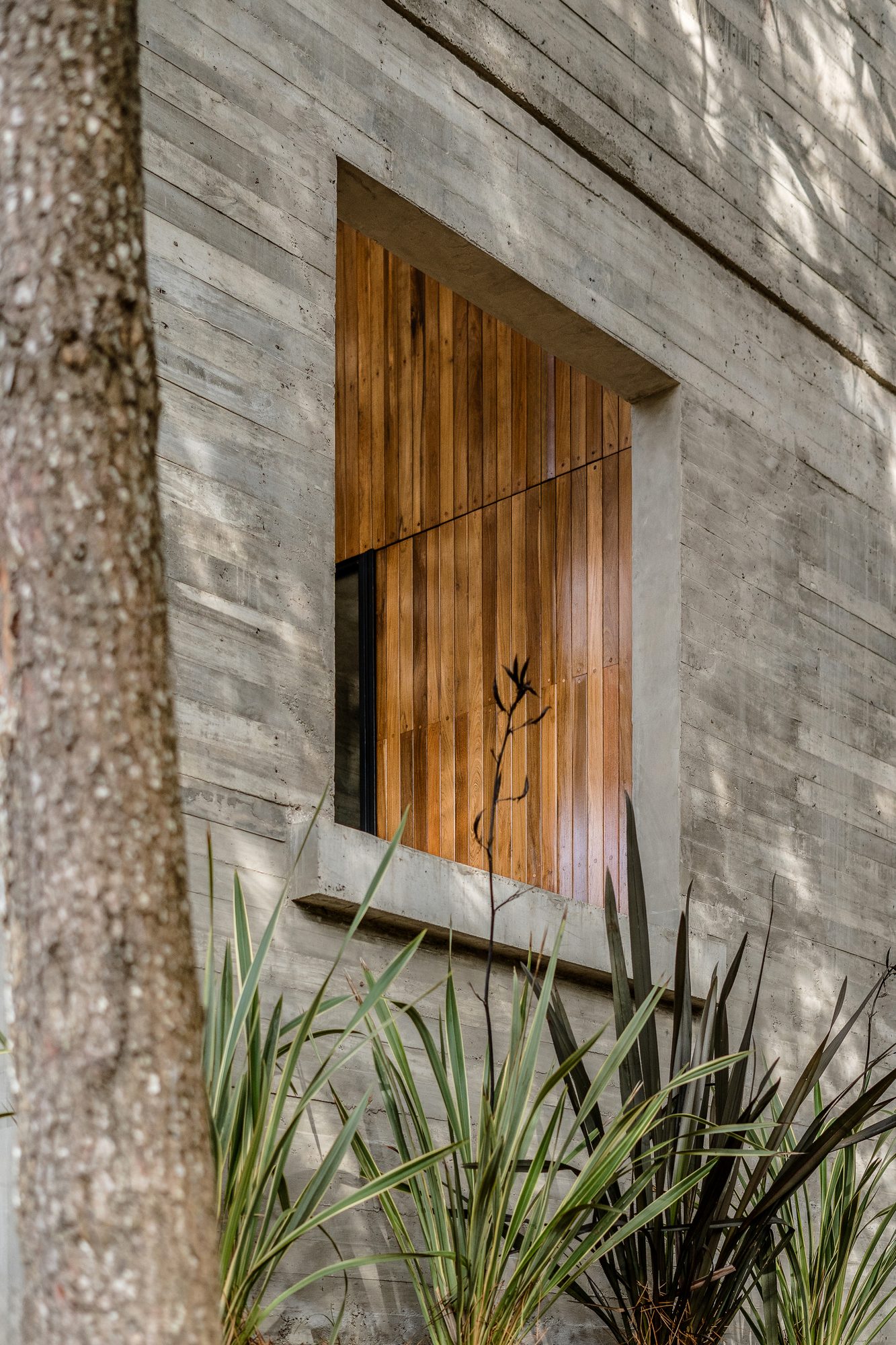 Ventana con postigo de madera en muro de hormigón, entre la vegetación — CORNER Arquitectura